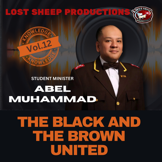 The Black and the Brown - Minister Abel Muhammad (CD)