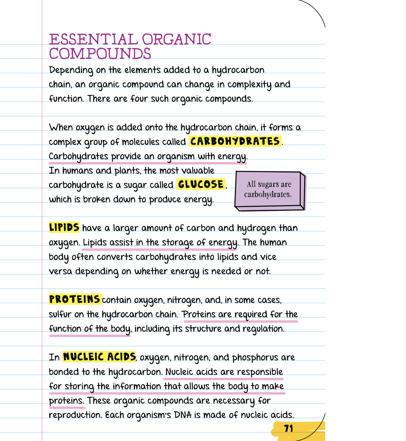 Everything You Need to Ace Biology in One Big Fat Notebook
