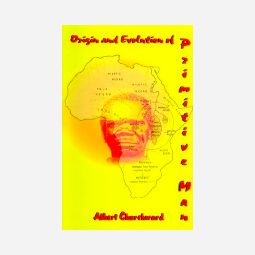 Origin And Evolution Of Primitive Man