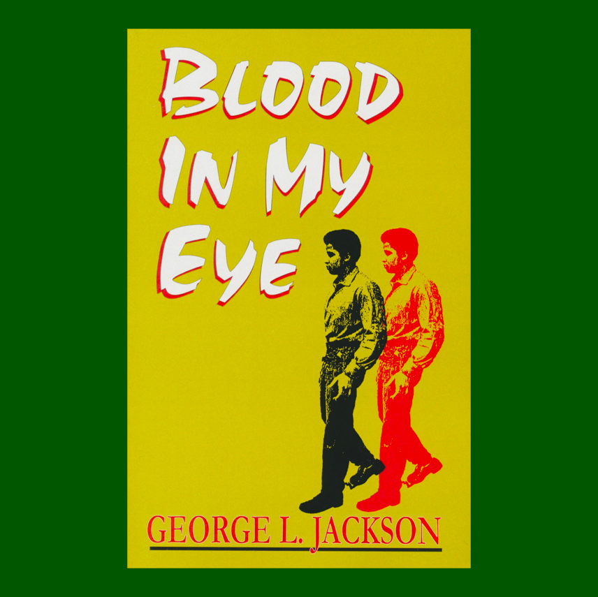 Blood in my Eye (Paperback)