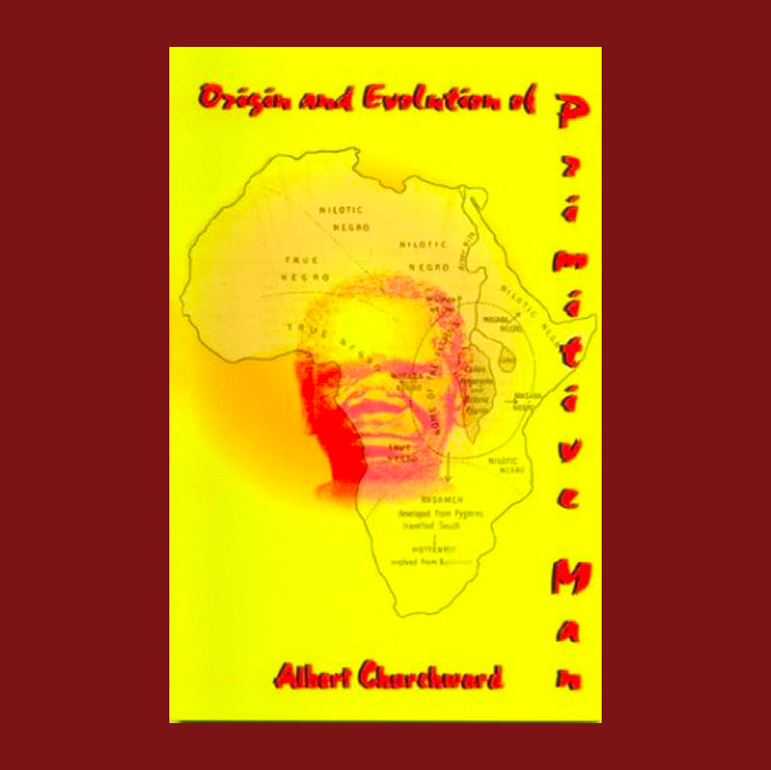 Origin And Evolution Of Primitive Man