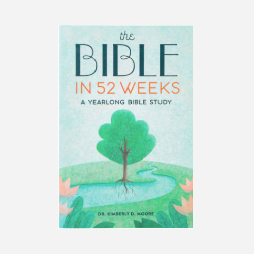 The Bible in 52 Weeks