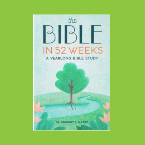 The Bible in 52 Weeks