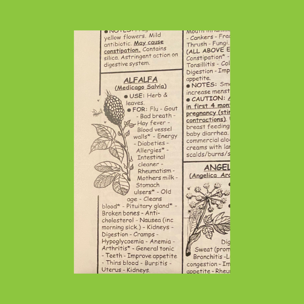 A Quick Reference for Natural Healing