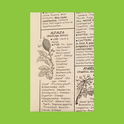 A Quick Reference for Natural Healing